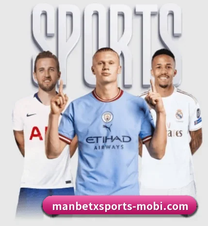 五大服务分区,信息按项目分类(ManBetX)